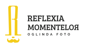 logo-reflexia